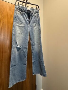 Hudson Jeans - Heidi Highrise Wide leg Jeans
